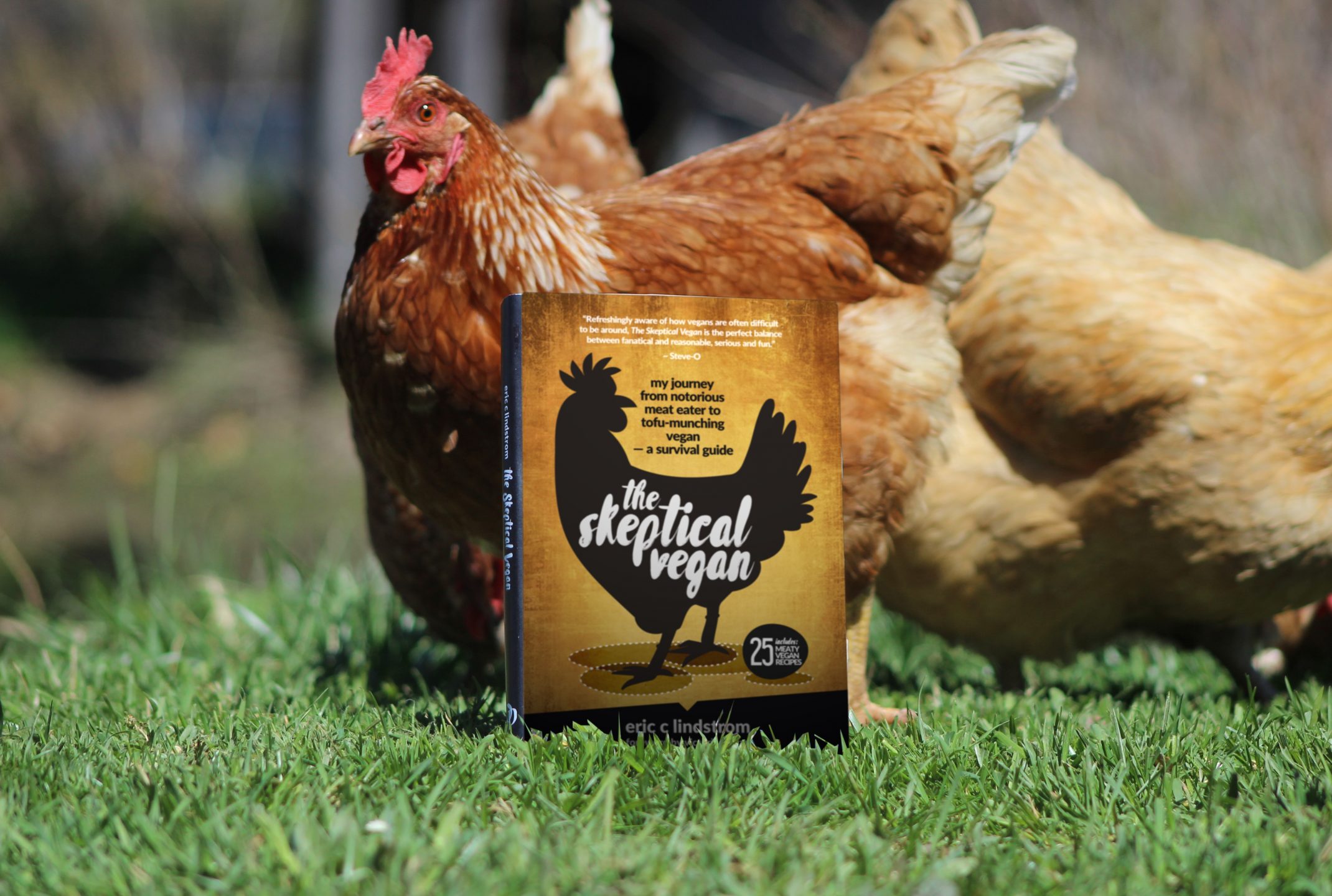 vegan book