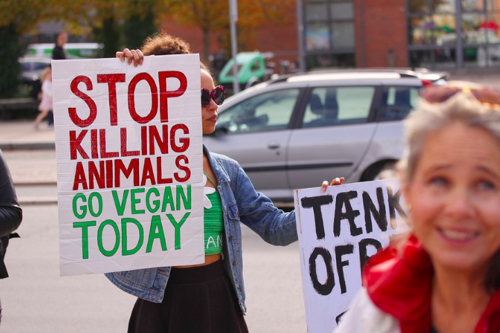 Animal Rights Activists: Who They Are & What Do They Do