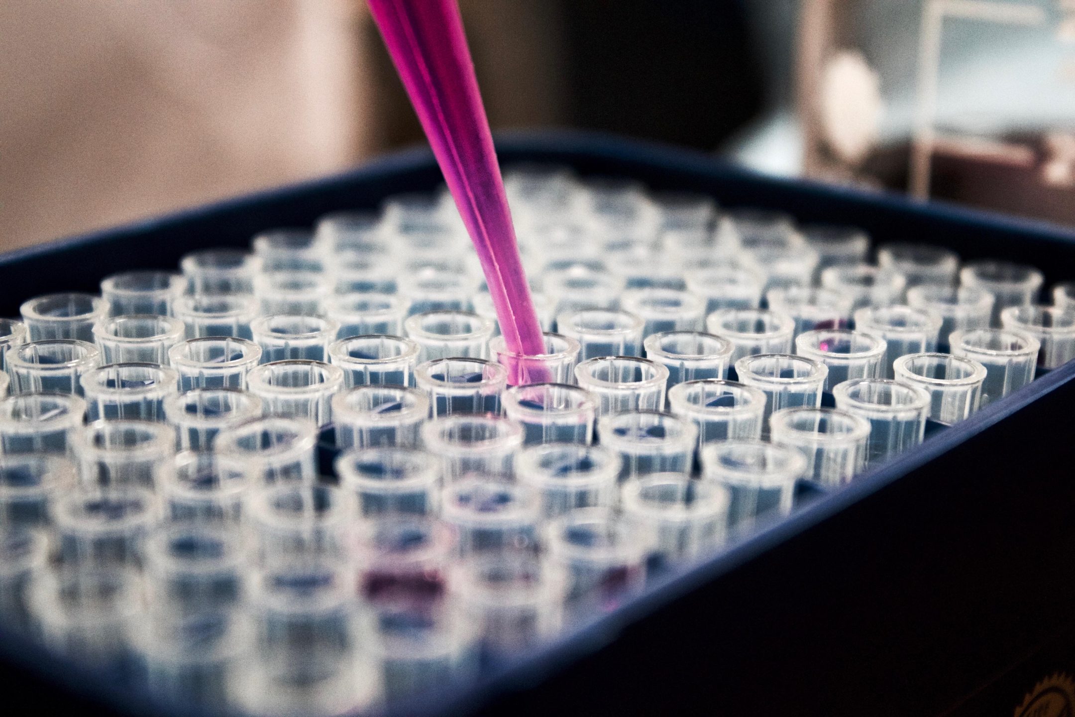 Cell-Based Meat Faces One of its Biggest Challenges Yet; and Your 5-A-Day