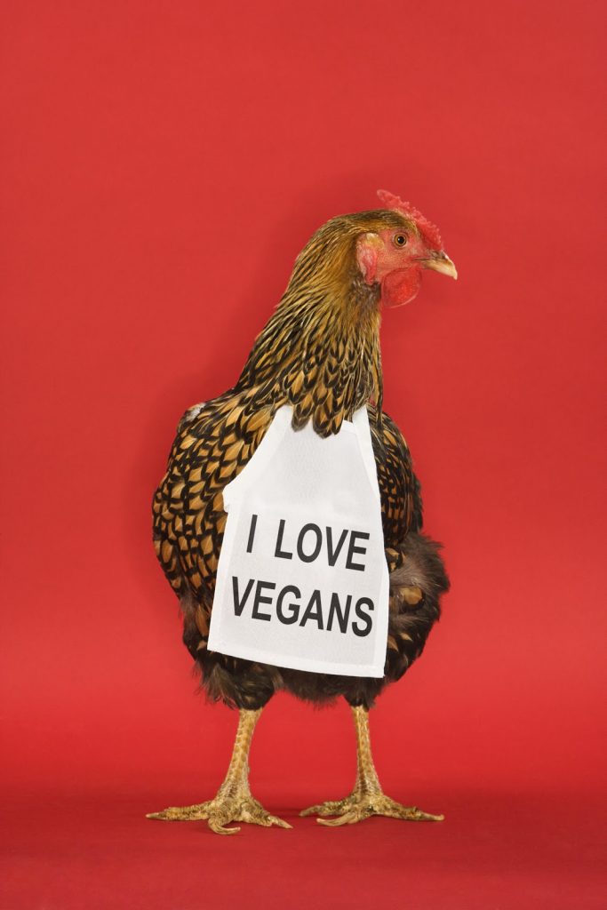 Vegan Benefits for Both People and the Environment