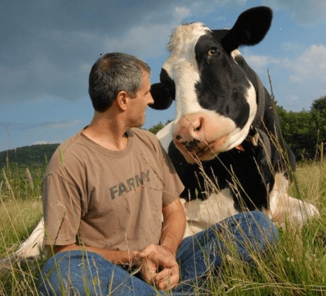 what is a vegan lifestyle