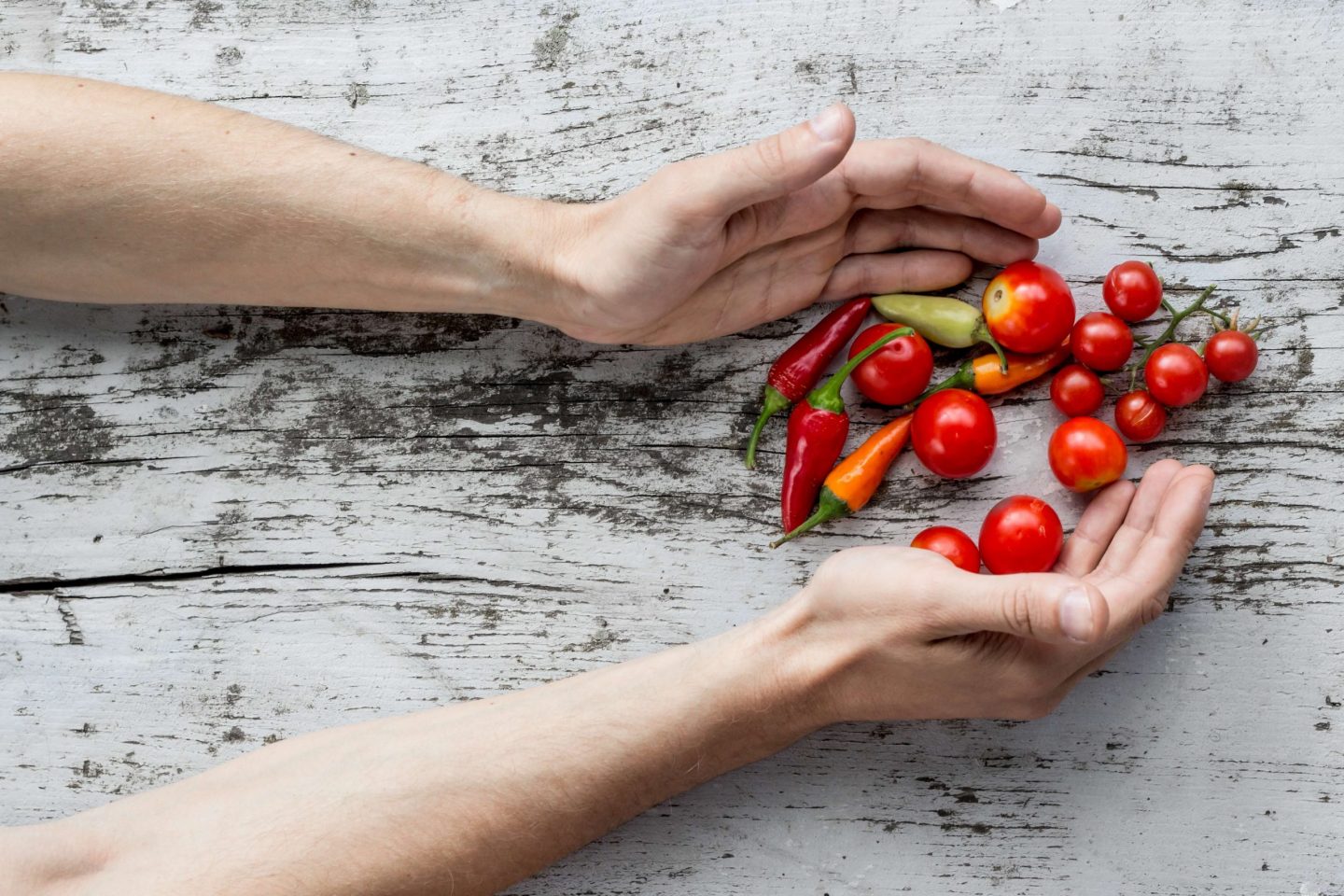 vegan reset book
