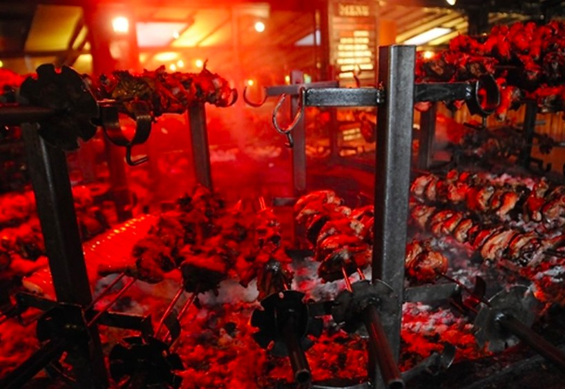 animal rights principles