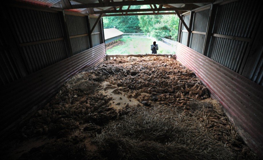 how to stop fur farming