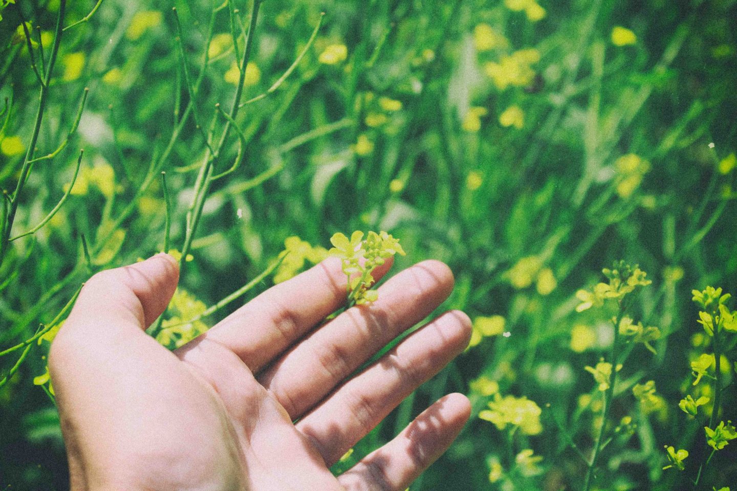 human nature hand