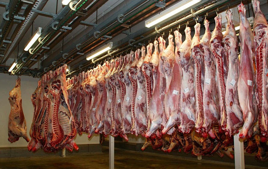 slaughterhouses in america