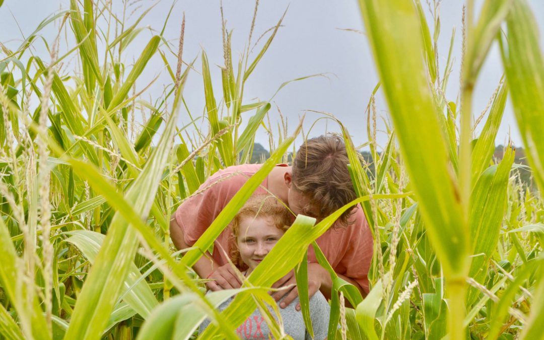 Report: Can We Feed 10 Billion People a Healthy Diet?