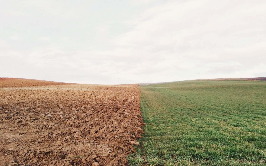The Fight for a Livable World