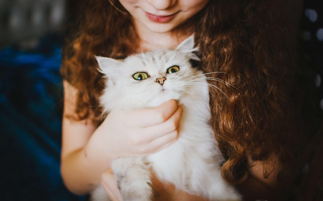 Business-Savvy Landlords Should Allow Pets. Cities Should Encourage It.