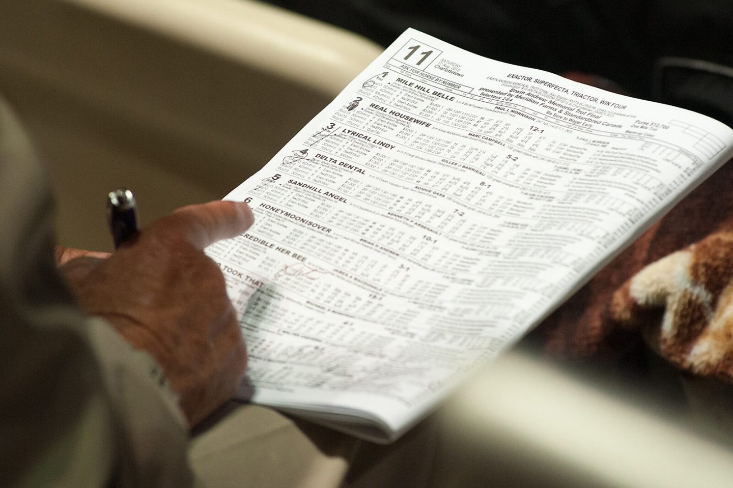 horse track betting