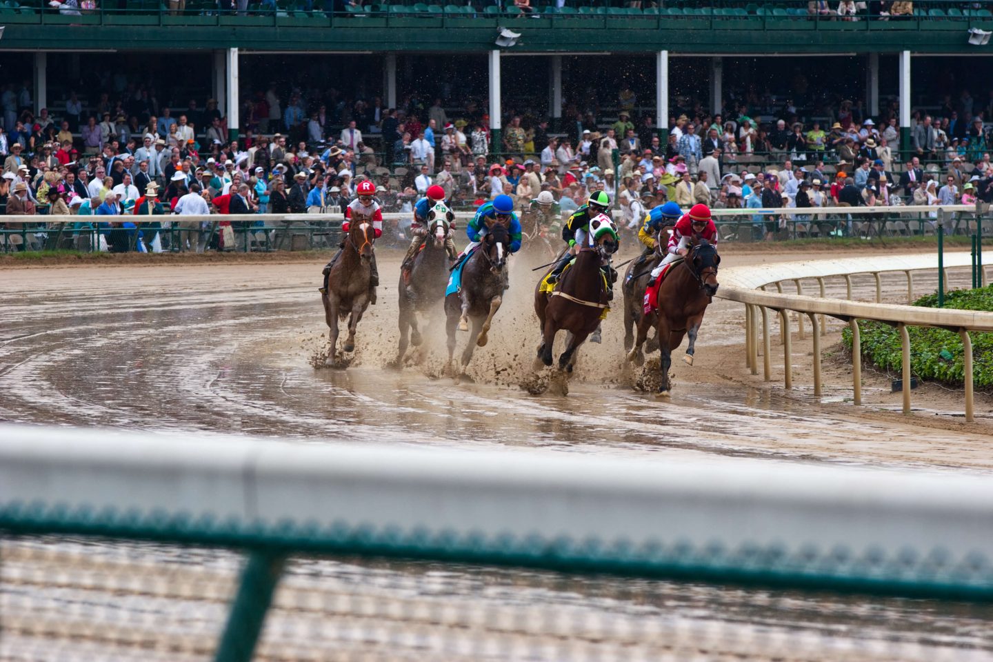 Kentucky Derby horse