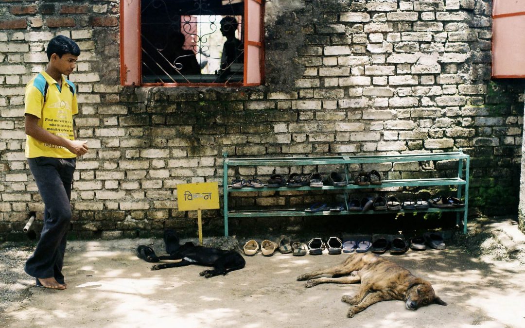 India Needs to Get Serious About Rabies Prevention