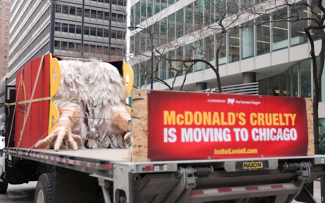 McDonald’s Continues to Ignore its Lackluster Chicken Welfare Policies