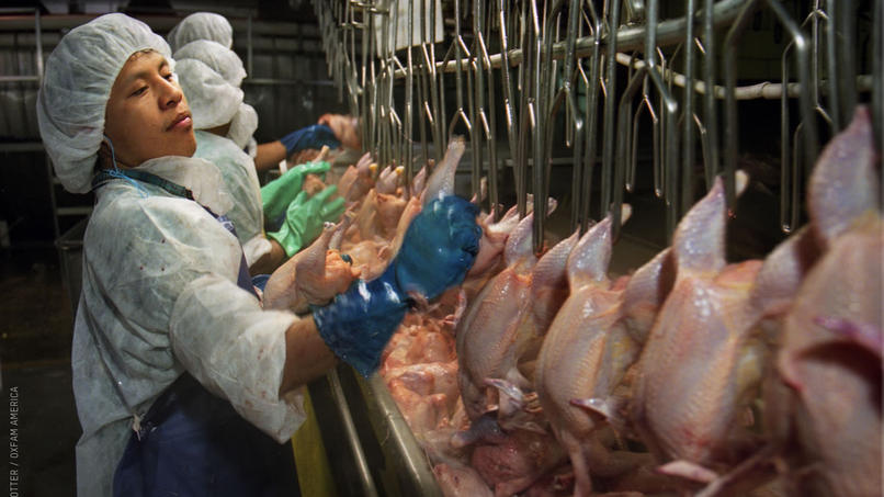 Trabajadores en el procesamiento de aves de corral