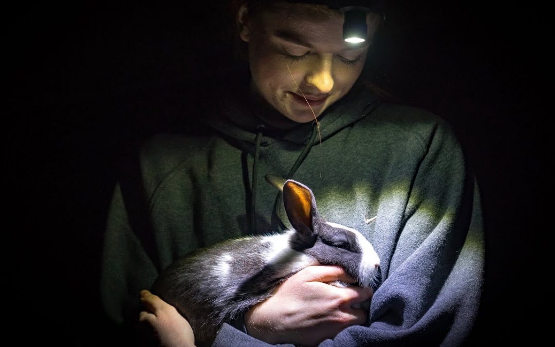Activists Risk Going to Prison for Rescuing Animals