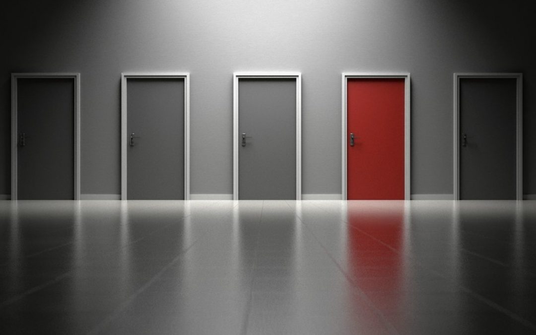 A Moral Dilemma of an Ethical Vegan