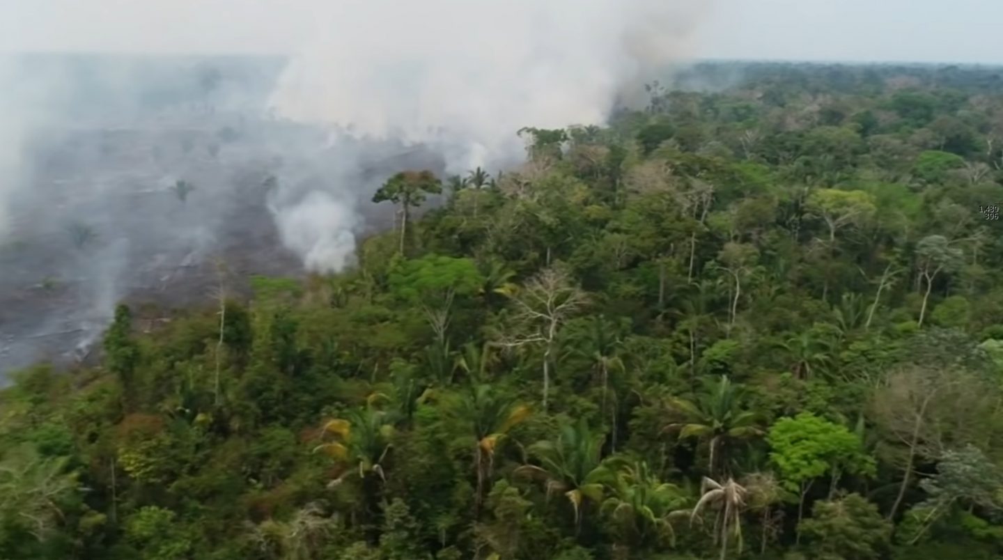 Drone Footage Shows Devastating Aftermath of Amazon Fires