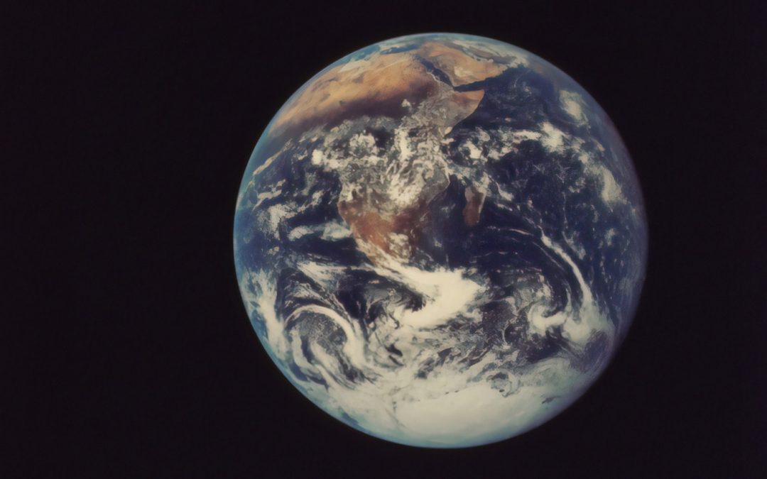 Vegan Ethics Alone Won’t Save The Planet: Five Thoughts for Greener Veganism