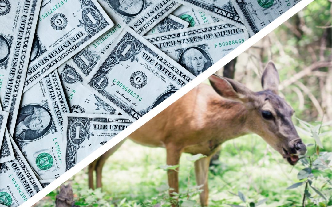 Index Like You Care: Sustainable Investing with Vegan ETF