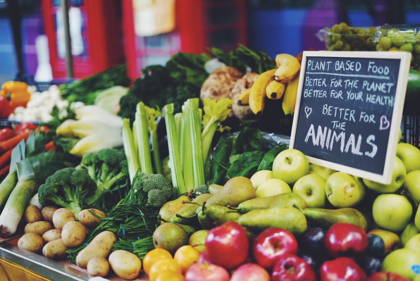 plant based food