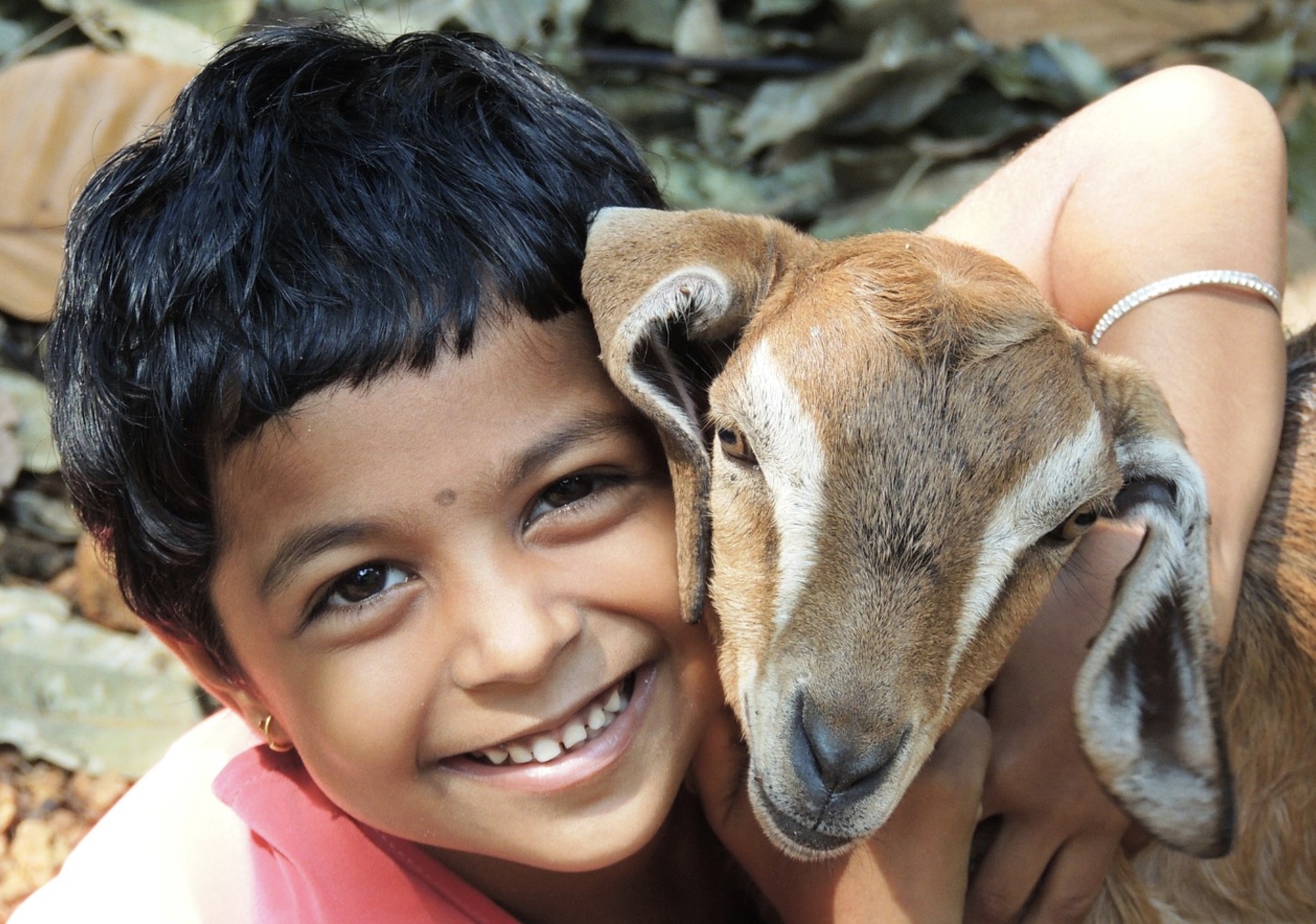 kids and animals