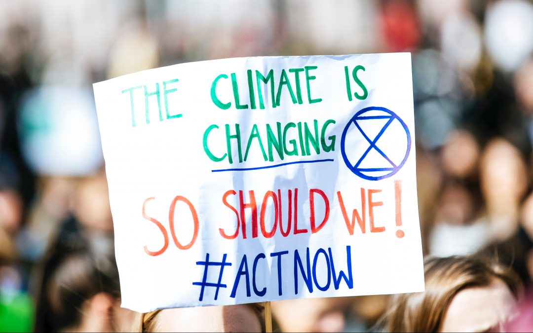 What Can I Do About Climate Change? 10 Simple Climate-Friendly Actions