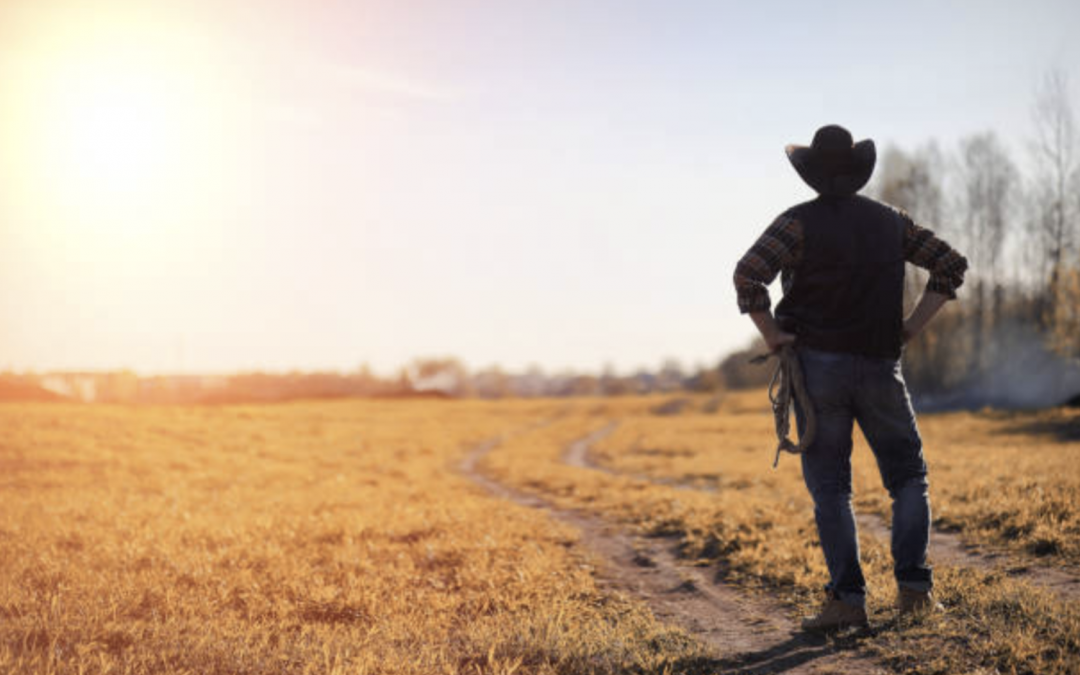Family Farms and the Rise of Industrial Agriculture