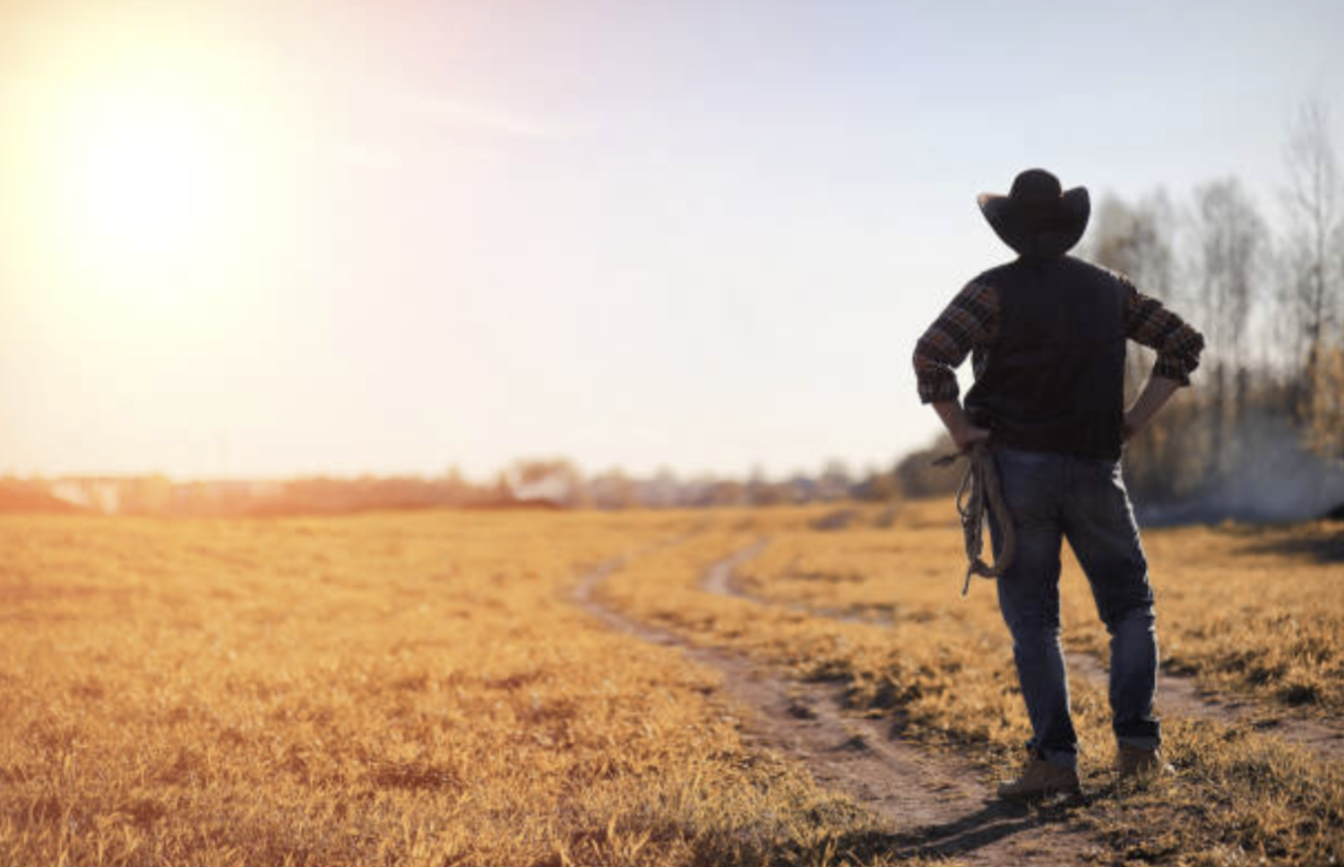 rural farmer