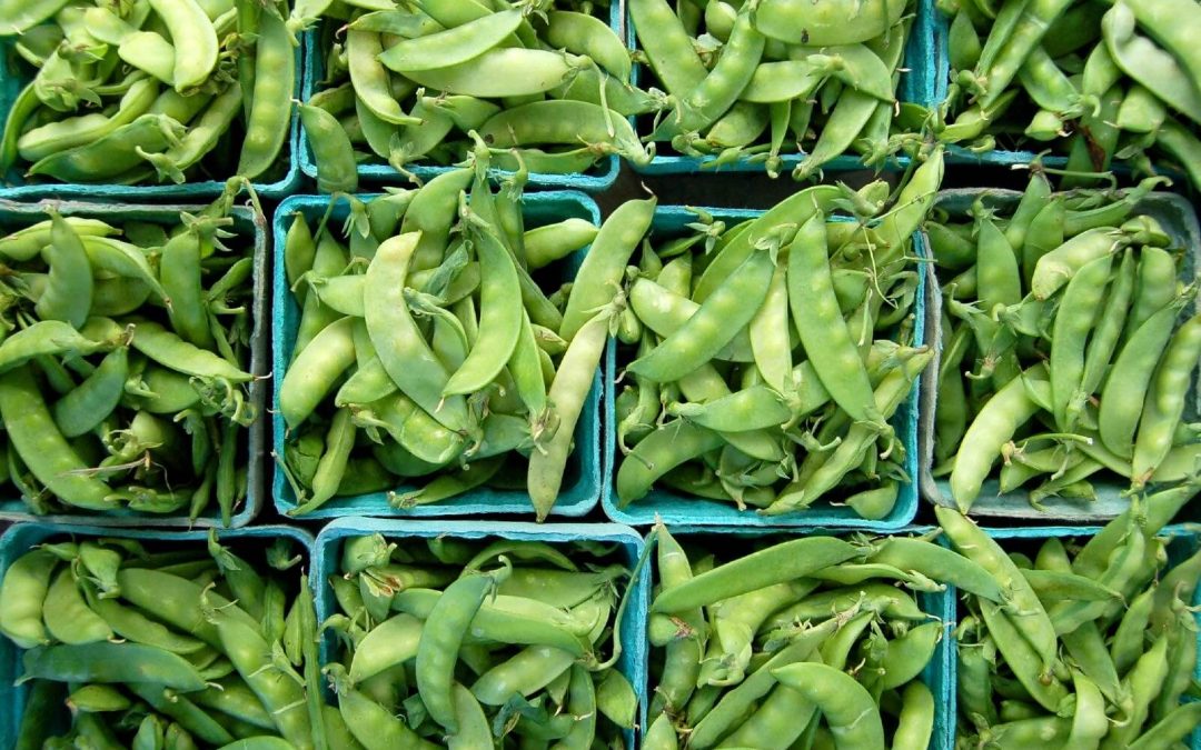 Farming for the Planet