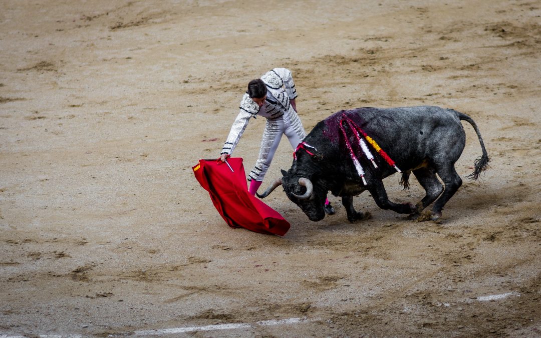 Coronavirus Pandemic Revitalizing Dispute Over Spanish Bullfighting