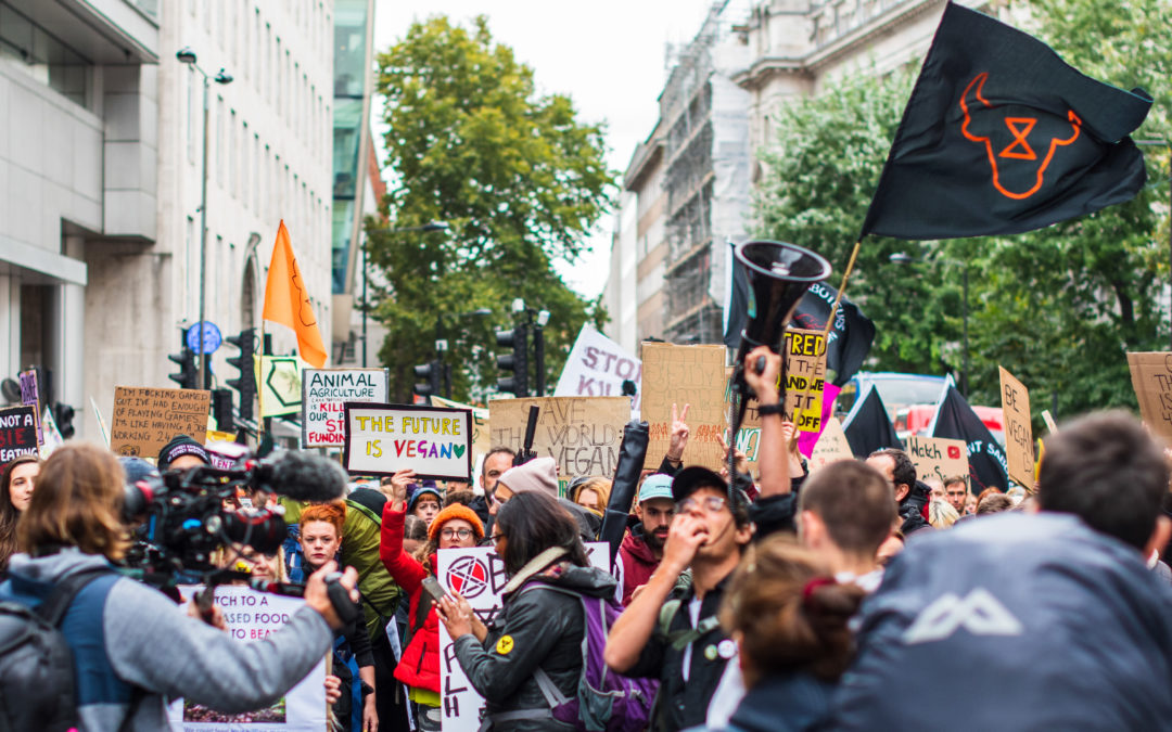Climate Protests Move Online Amid Pandemic
