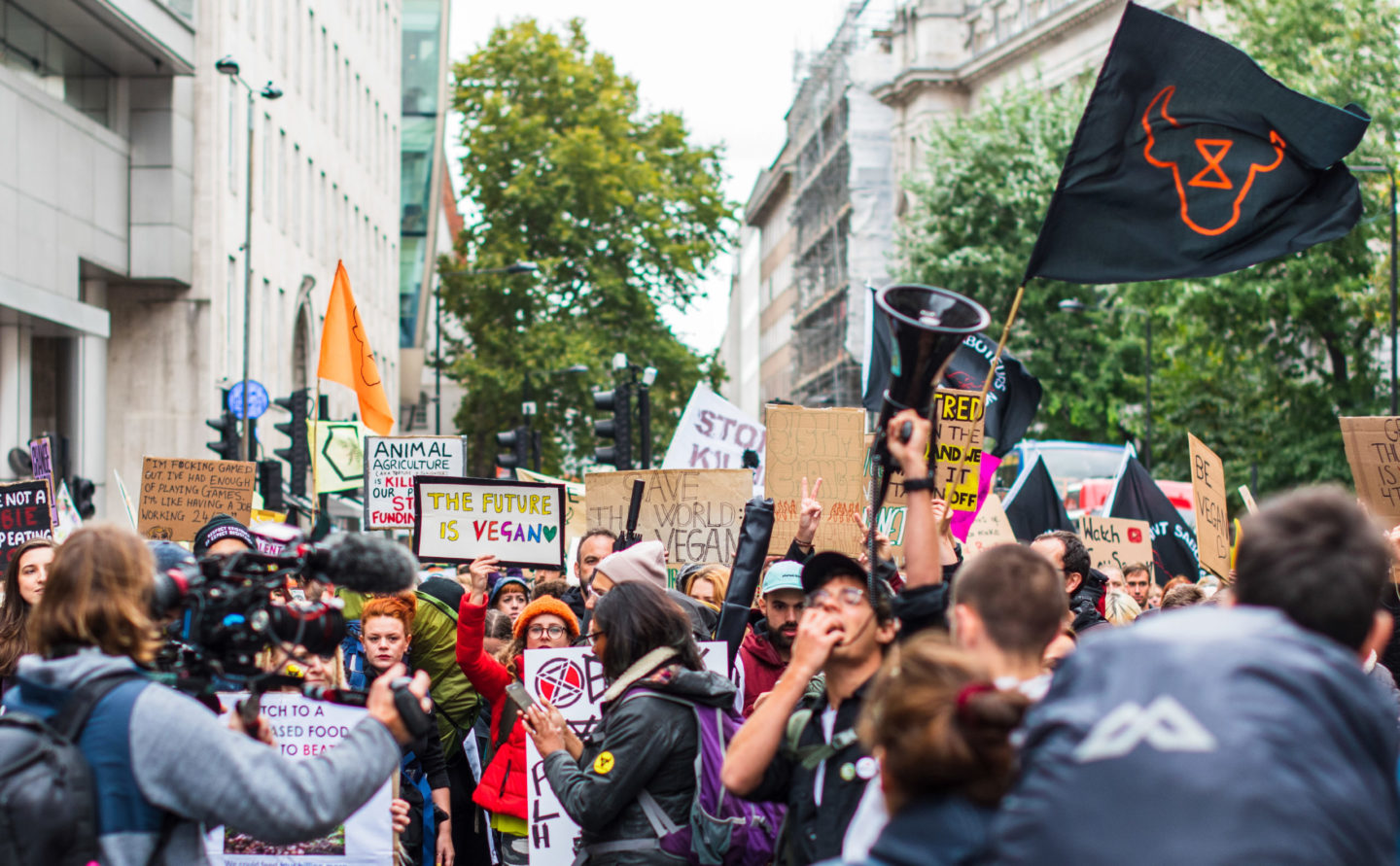 climate protest activists