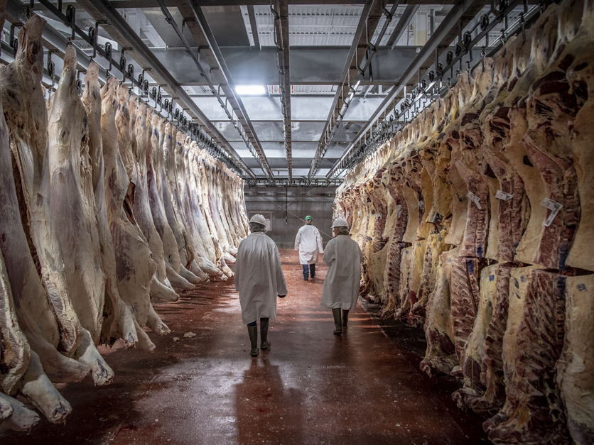 meat plant beef