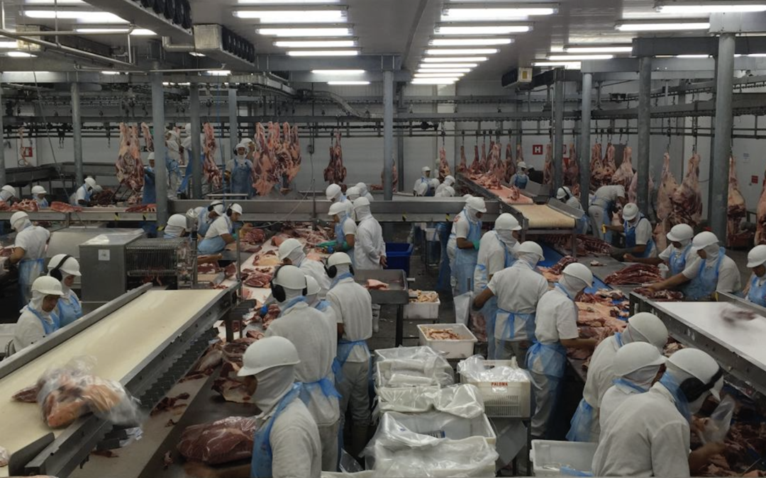 Profit Over People: The Meat Industry’s Exploitation of Vulnerable Workers