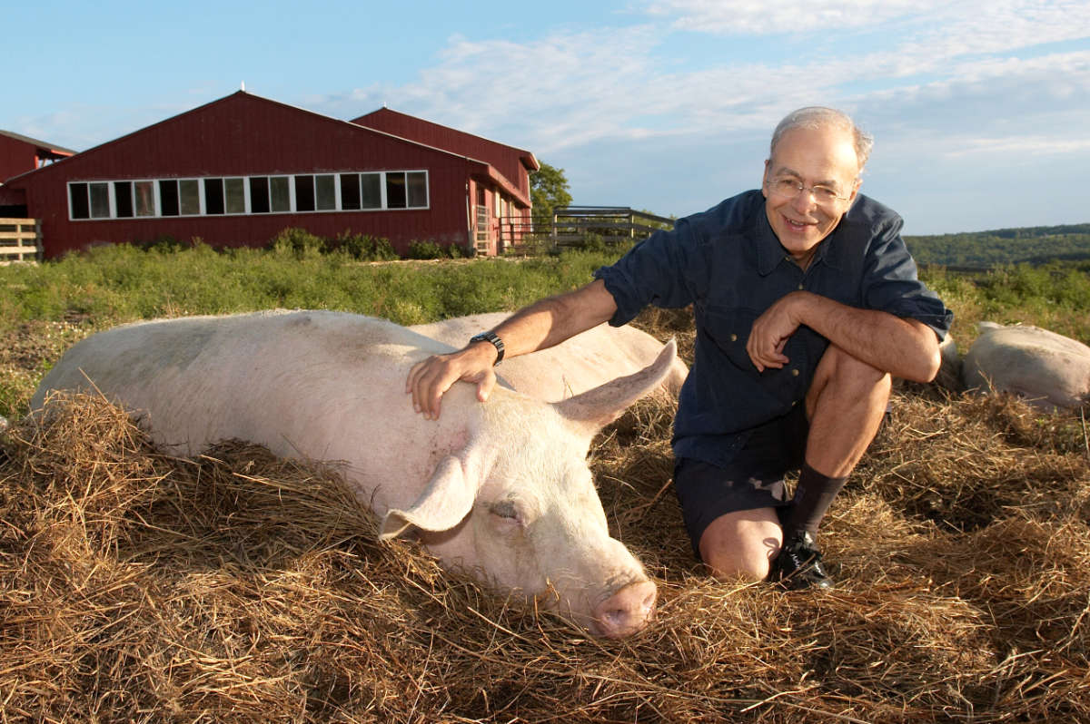 Pandemics, Liberation, and Animal Ag: An Interview With Peter Singer
