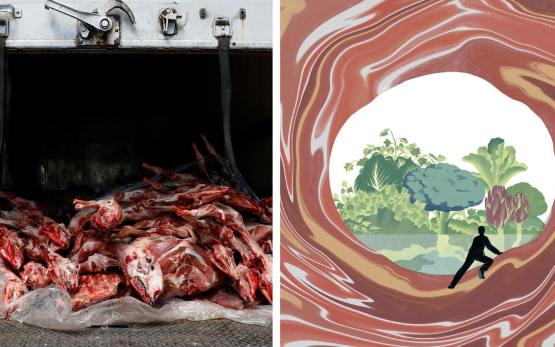 The New York Times Swapped an Image of Animal Carcasses for an Abstract Illustration. But Why?