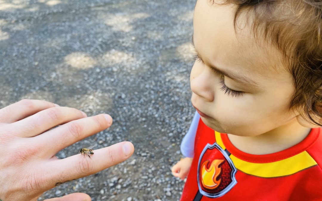 Explaining Pandemics and Animal Exploitation to My 3-Year-Old Son