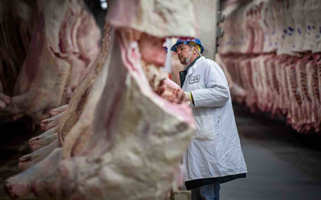 COVID-19 Exposes Flaws in Animal Protein Production