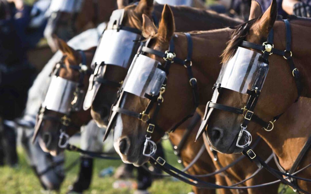 At Black Lives Matter Protests, Police Horses Become Another Troubling Symbol of Oppression