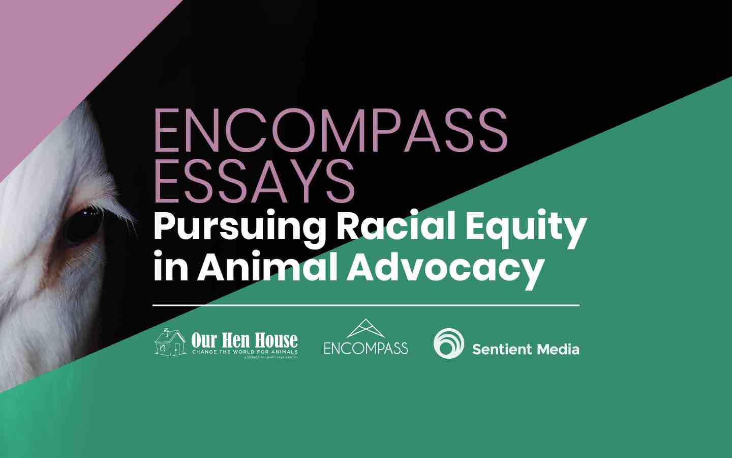encompass essay series