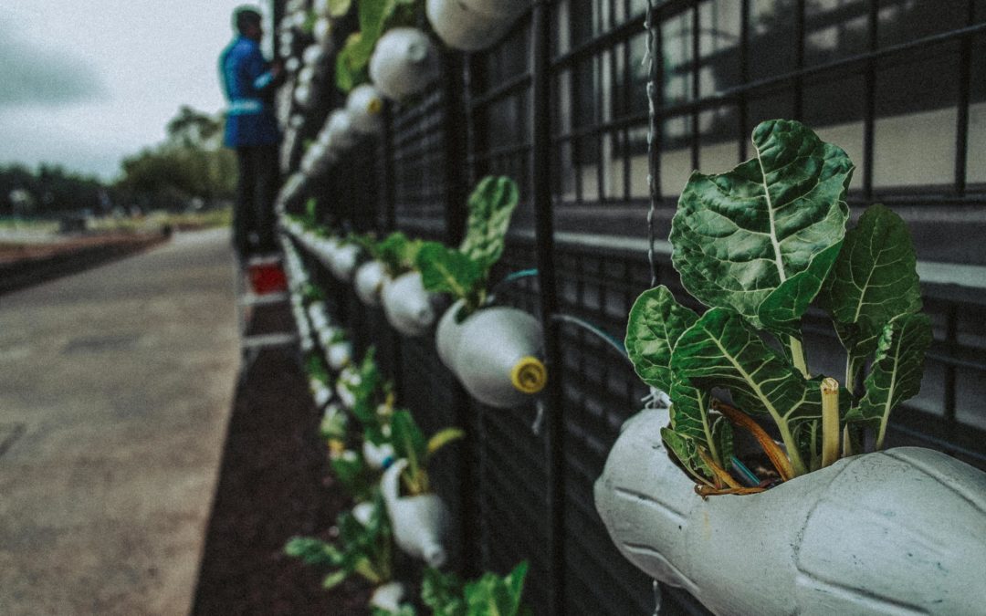 Advocating for Food Justice During a Pandemic: Lauren Ornelas Speaks Out