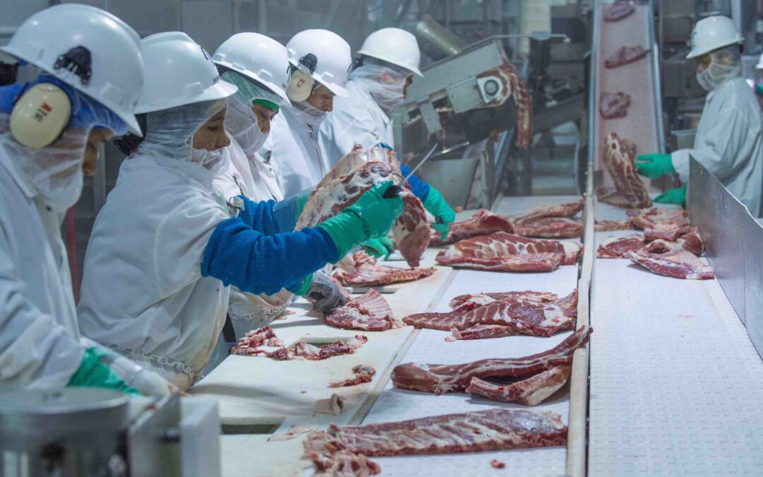120+ Organizations Target Meatpacking Giant Tyson Foods for Failing to Protect Workers from COVID-19
