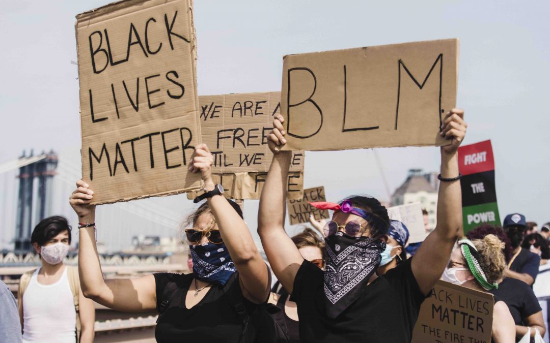 Protesters, Pigs & the Diversity Problem in Animal Welfare
