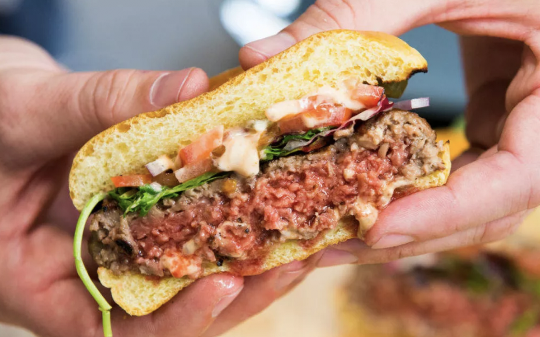 What is Plant-Based Meat: A Look at the Future of Food