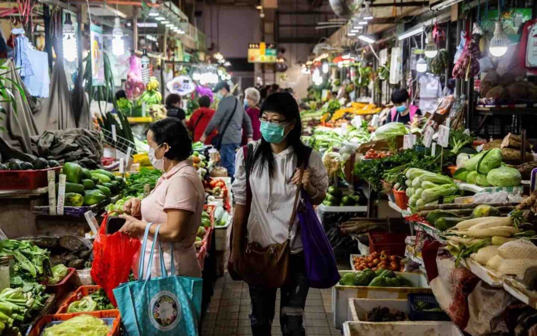 From Wet Markets to Meatpacking: Why Animal Advocacy Fails Without Anti-Racism