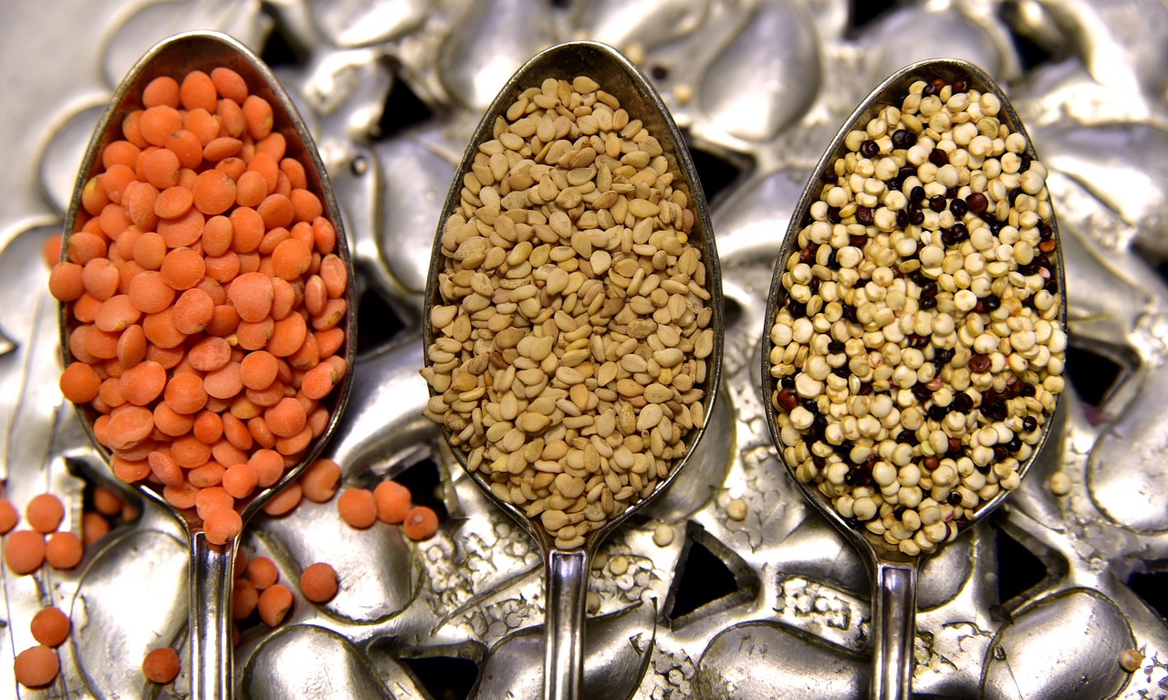 plant-based proteins