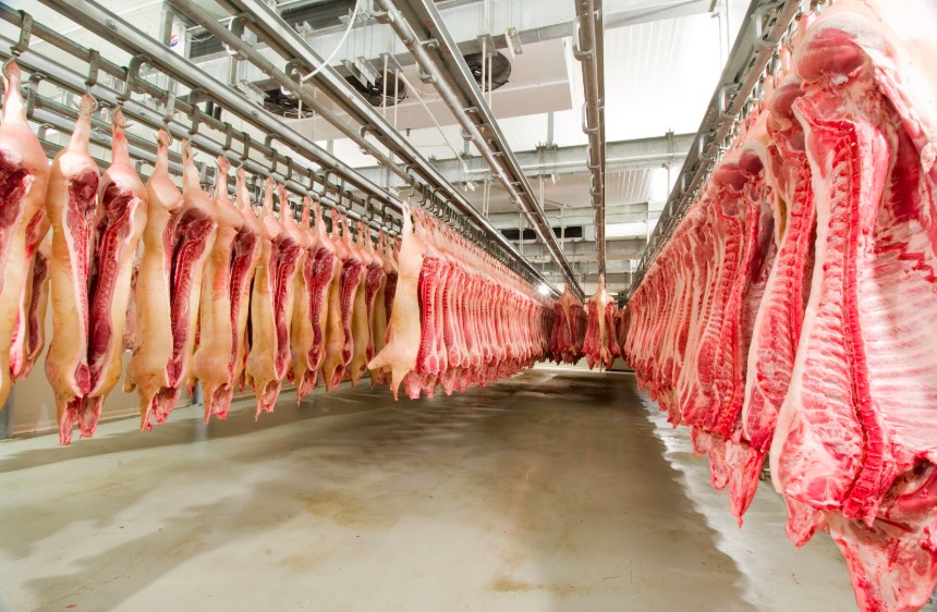 clean meat ending animal cruelty