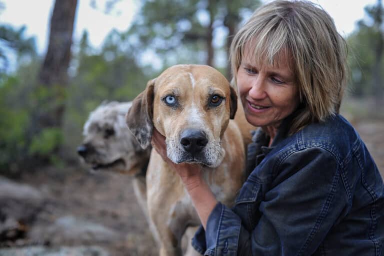 Animal Rights Why Is It Important and What Are Some Examples?