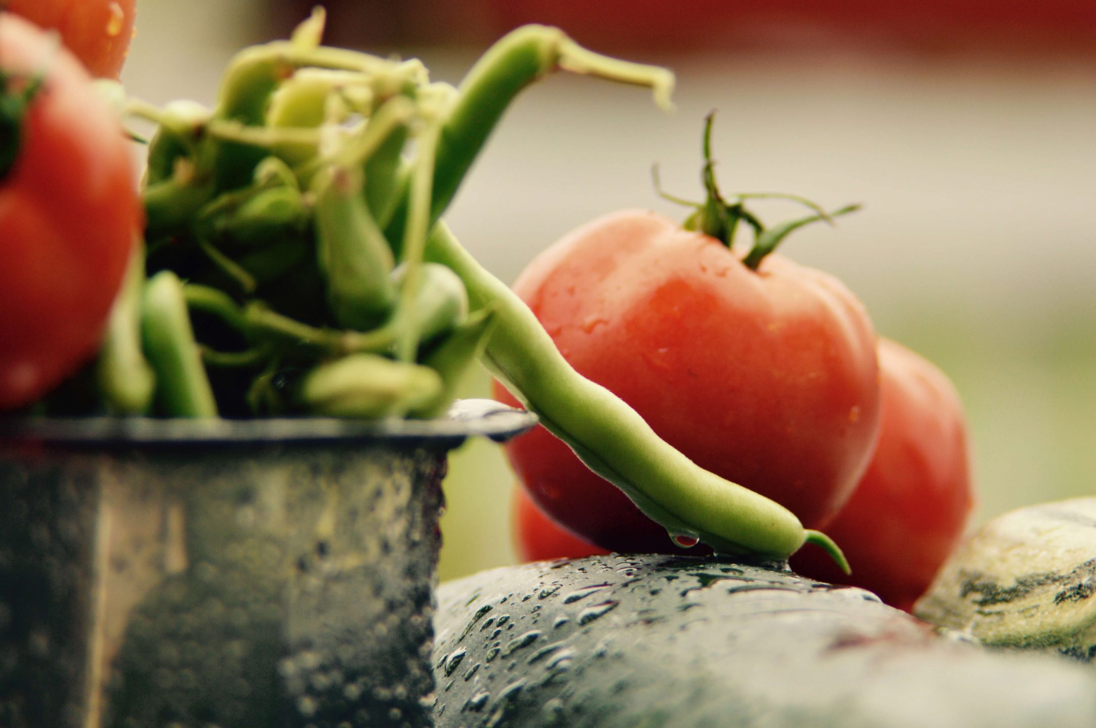 tomato harvest vegan