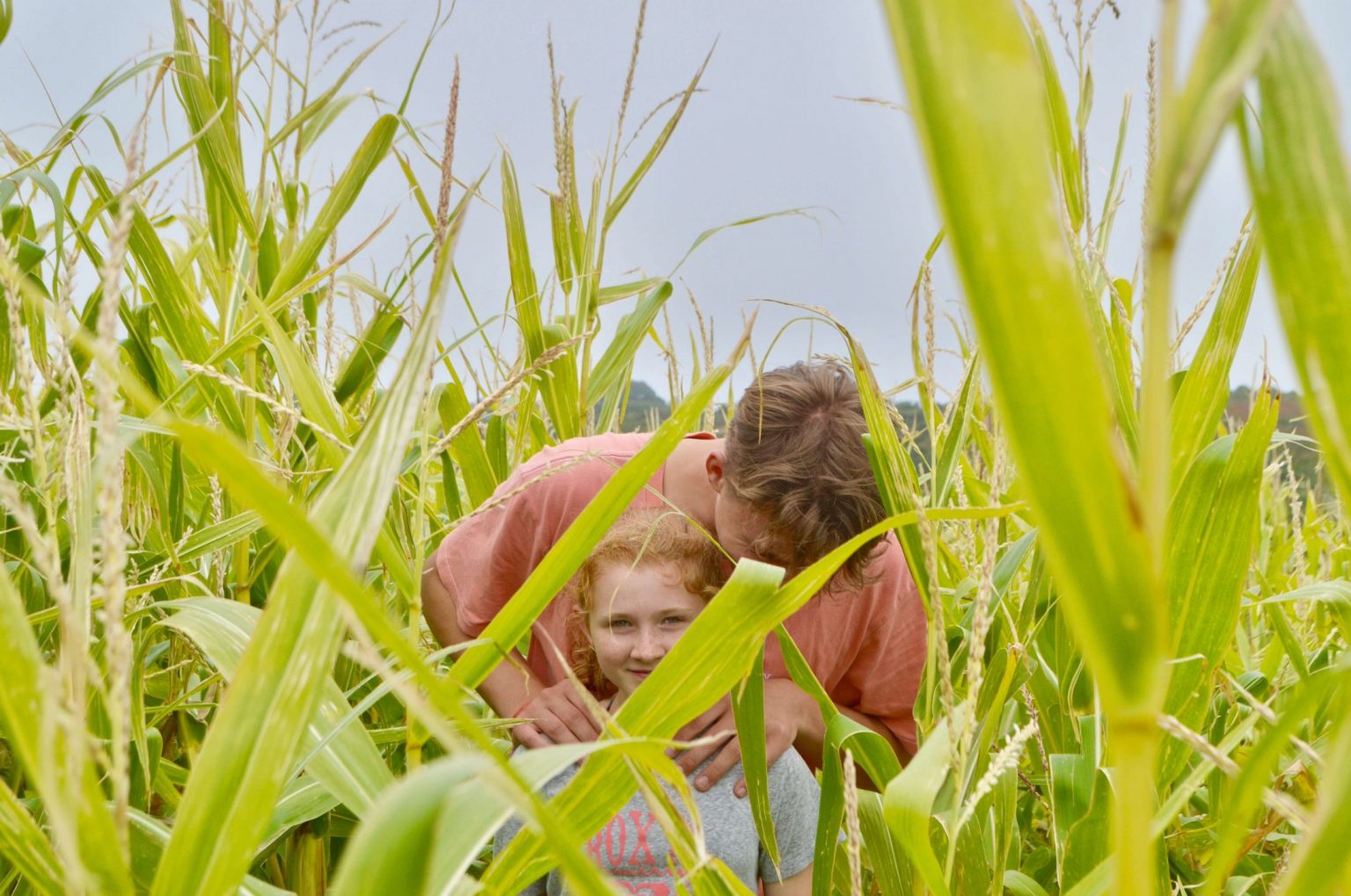Report Can We Feed 10 Billion People A Healthy Diet 